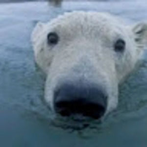 Meet your Posher, Madelynn